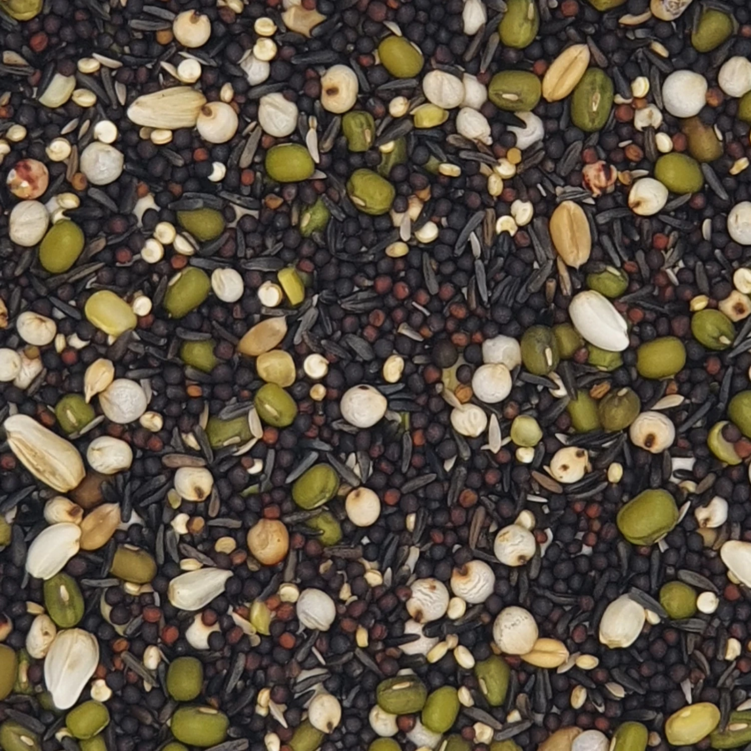 Versele Keimfutter Für Kanarien Prestige 20kg 3 Versele Keimfutter Für Kanarien Prestige 20kg