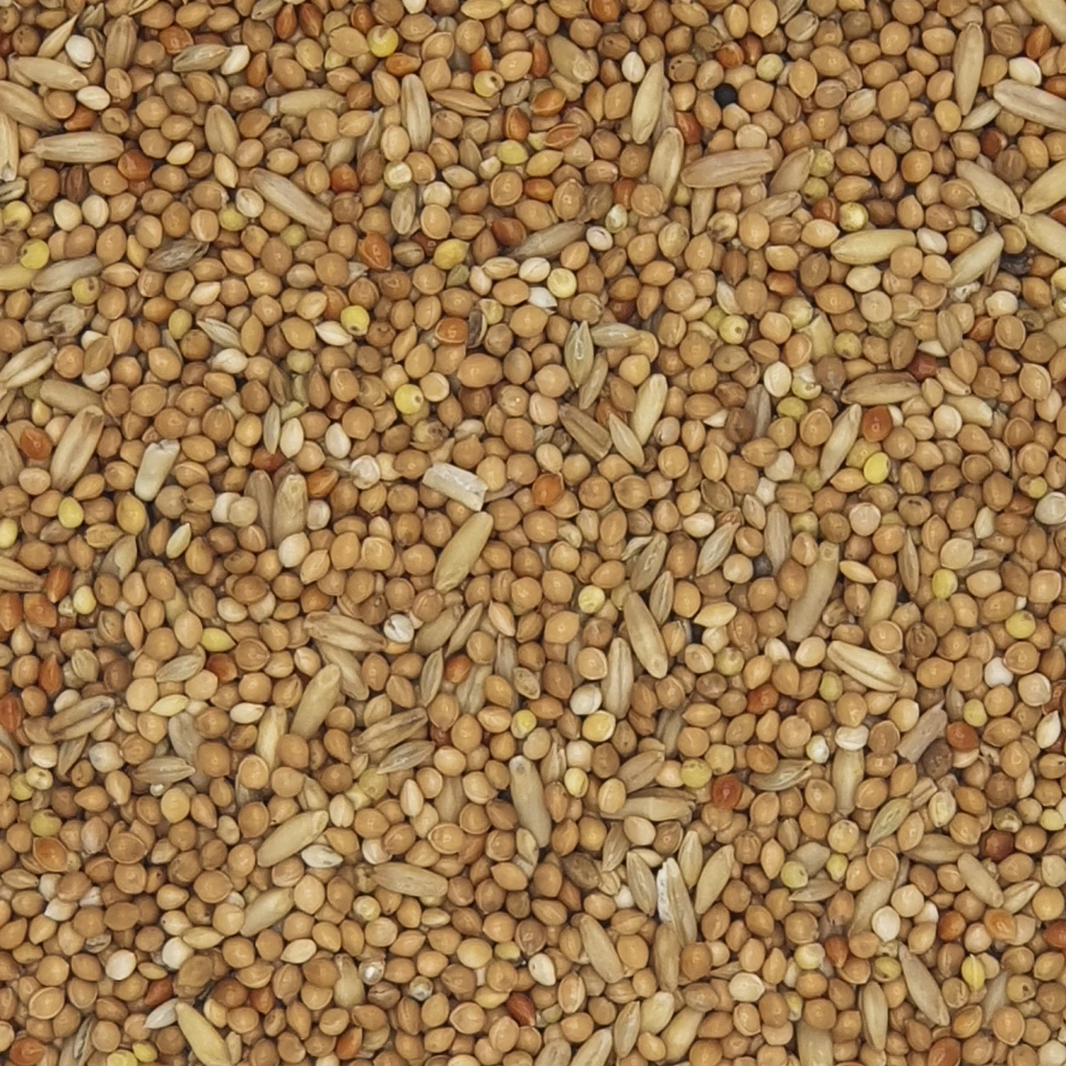 Versele Wellensittiche IMD Prestige 20kg +10% Gratis 3 Versele Wellensittiche IMD Prestige 20kg +10% Gratis