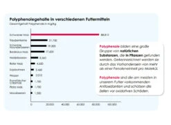 Versele Junior Plus I.C.⁺ 20kg -Zoofach Geschaft antioxidantien 17