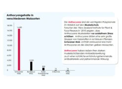 Versele Master Witwer 20kg -Zoofach Geschaft antioxidantien 21