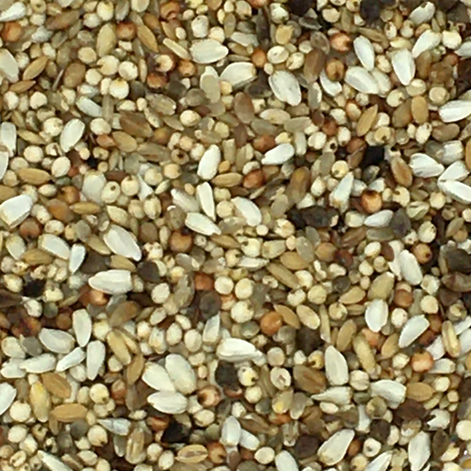 Beyers 24 - Superdiät 25kg 3 Beyers 24 - Superdiät 25kg