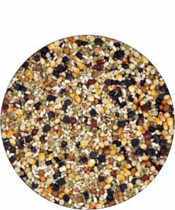 Versele Champion Plus IC+ Black Label, 20kg