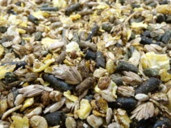 Havens Cool-Mix 20kg -Zoofach Geschaft coolmix