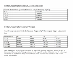 Zoofach Geschaft 7 Zoofach Geschaft -Zoofach Geschaft ftterungshinweise gladen puppy junior neu