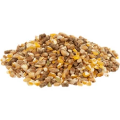 Versele Gold 4 Mix 20kg 7 Versele Gold 4 Mix 20kg -Zoofach Geschaft gold4mixl