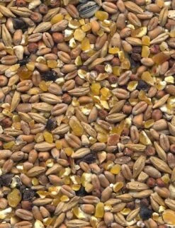 Havens Scharrel-Graan - Körnerfutter 25kg -Zoofach Geschaft graanmengelingenscharrelgraan