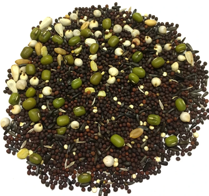 Versele Keimfutter Für Kanarien Prestige 20kg 5 Versele Keimfutter Für Kanarien Prestige 20kg – Bild 3