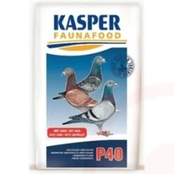 Kasper Fauna P40 20kg 5 Kasper Fauna P40 20kg -Zoofach Geschaft p40