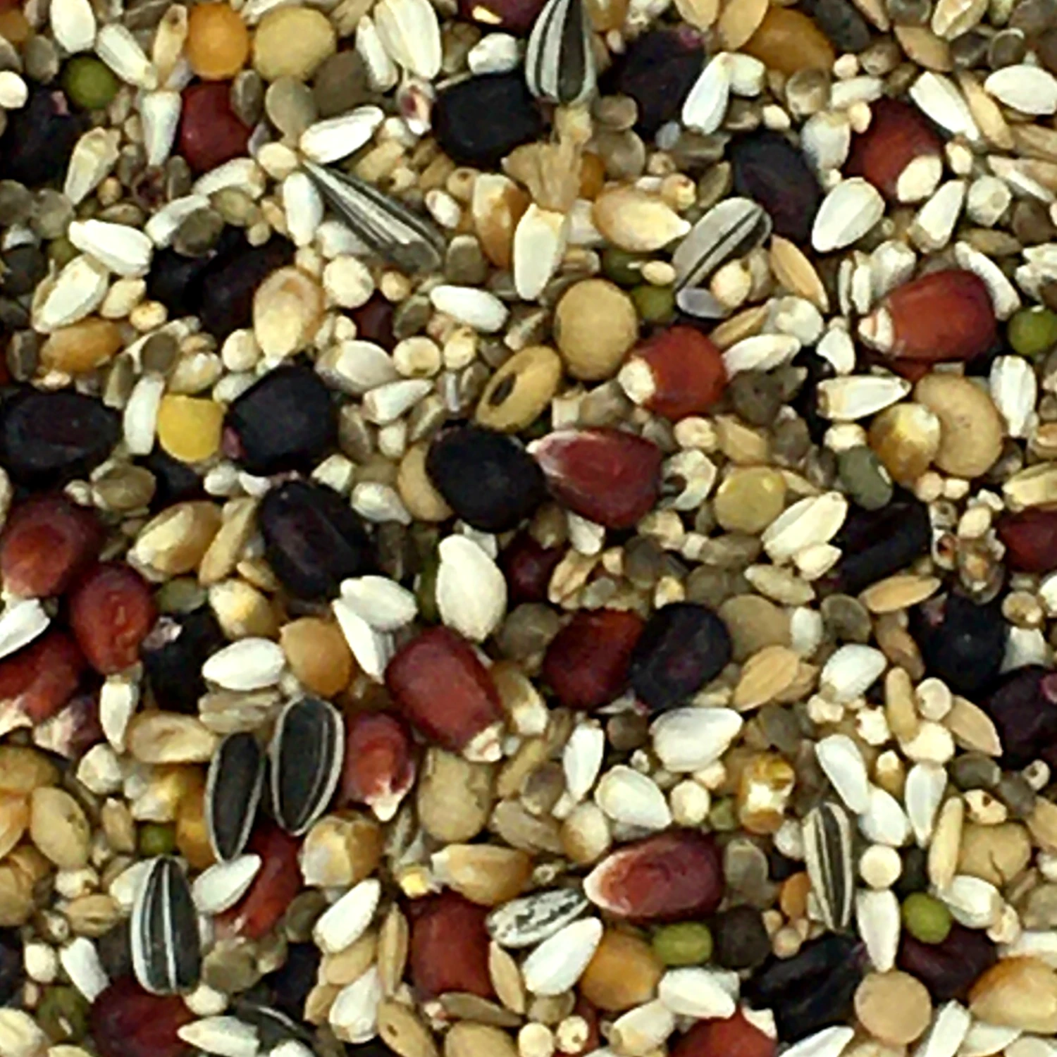 Paloma Nr.100 Olympic Diamond 20kg 3 Paloma Nr.100 Olympic Diamond 20kg