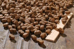 Bewi Dog Junior 12,5kg -Zoofach Geschaft rs2899 junior kroketten lineal img 1767b klein