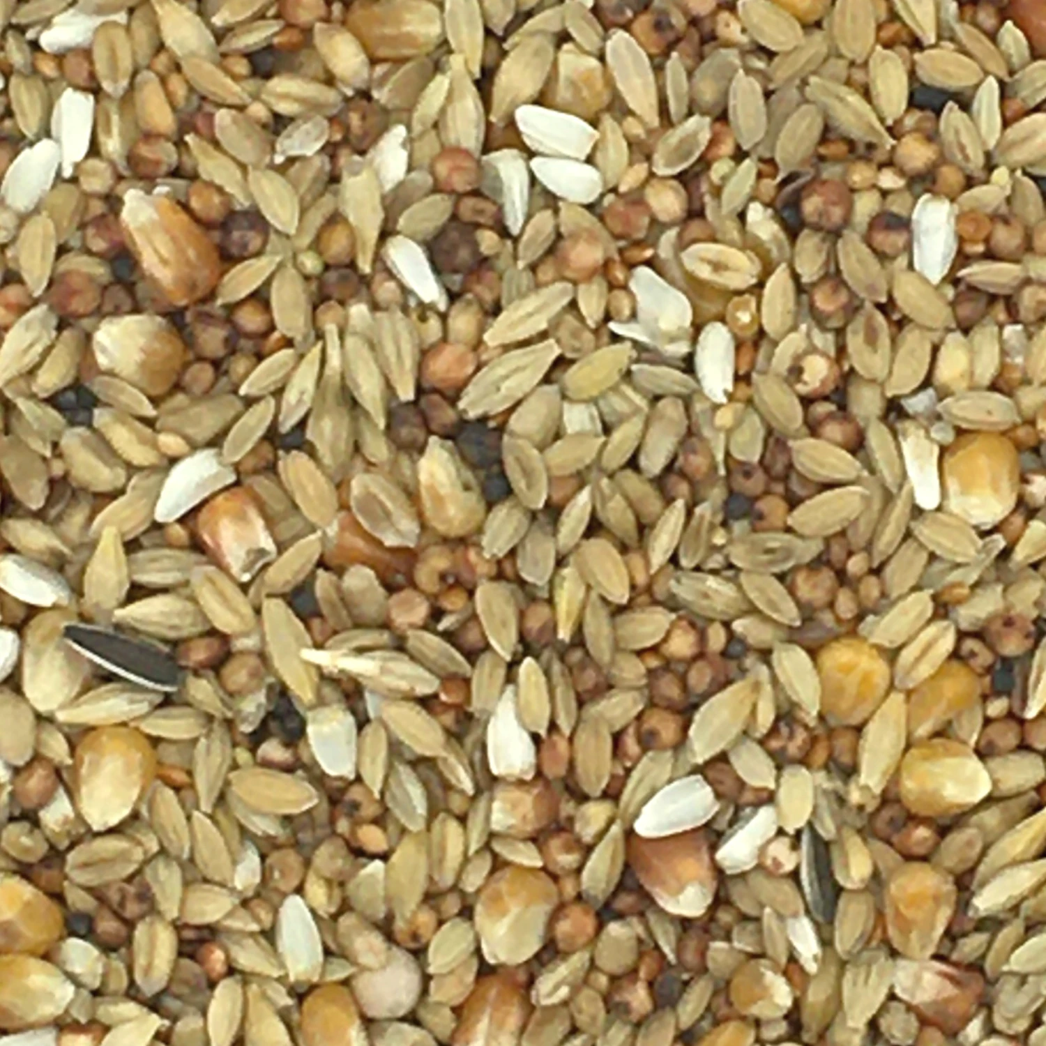 Vanrobaeys Nr.231 Olympia Complete Light 20kg + 10% Gratis 3 Vanrobaeys Nr.231 Olympia Complete Light 20kg + 10% Gratis