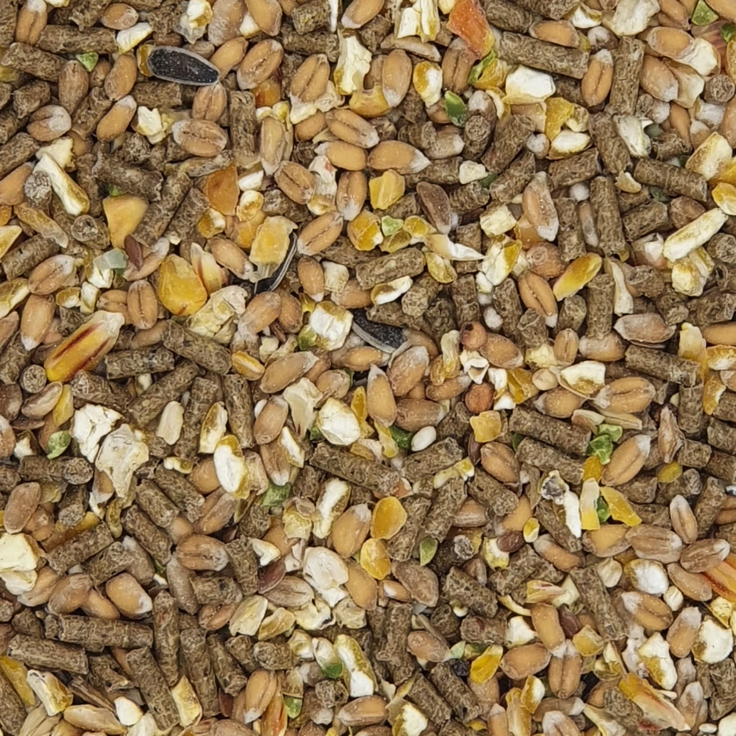 Versele Gold 4 Mix 20kg 3 Versele Gold 4 Mix 20kg