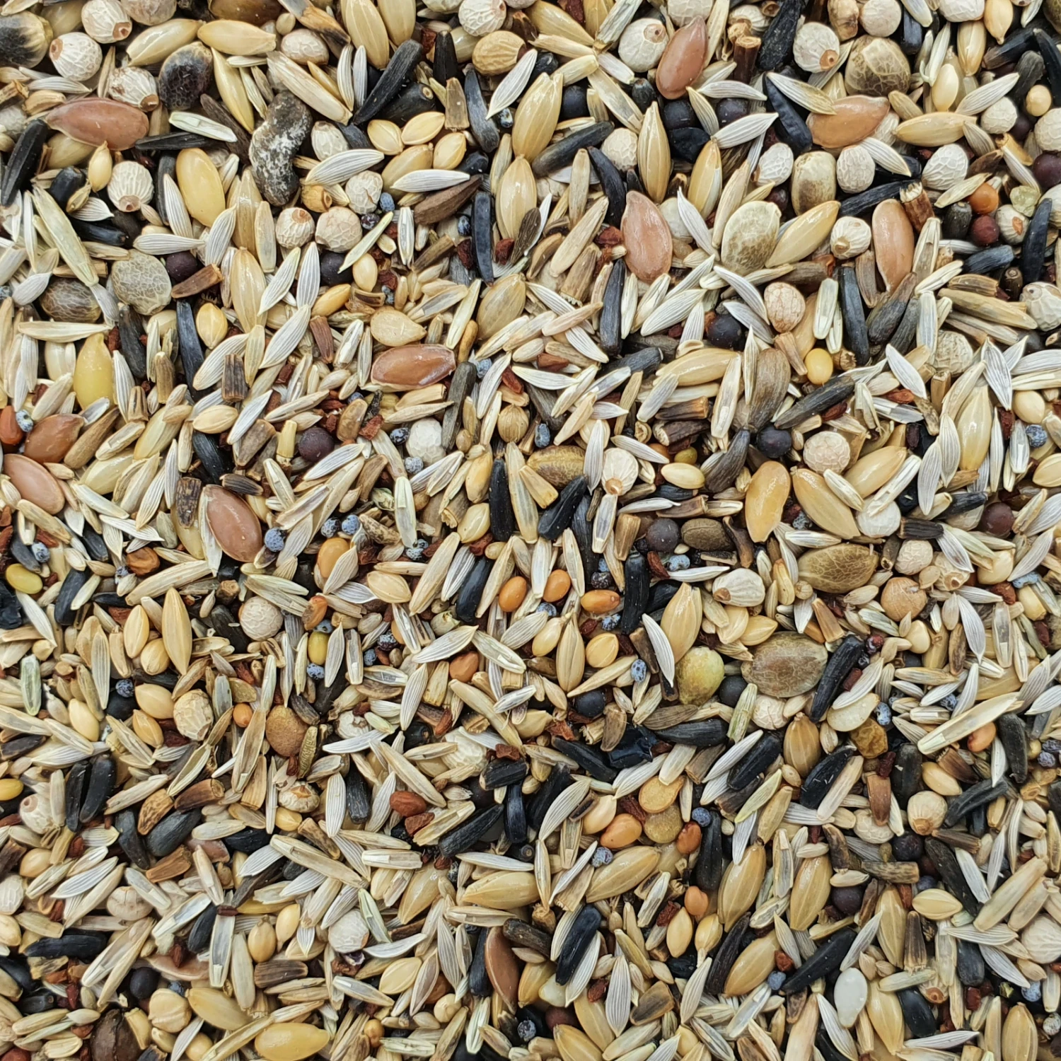 Versele Waldvogel Zeisig Extra Prestige 15kg 3 Versele Waldvogel Zeisig Extra Prestige 15kg